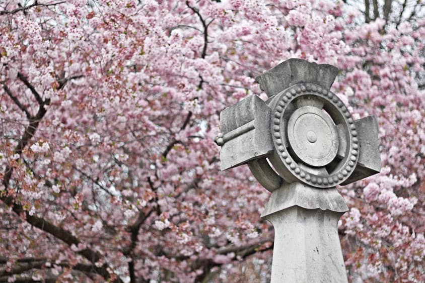 cmentarz Père Lachaise