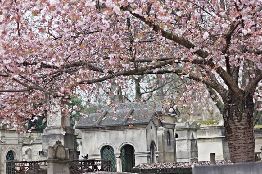 cmentarz Père Lachaise