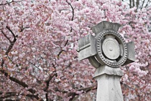 Urodziny na cmentarzu – Père Lachaise