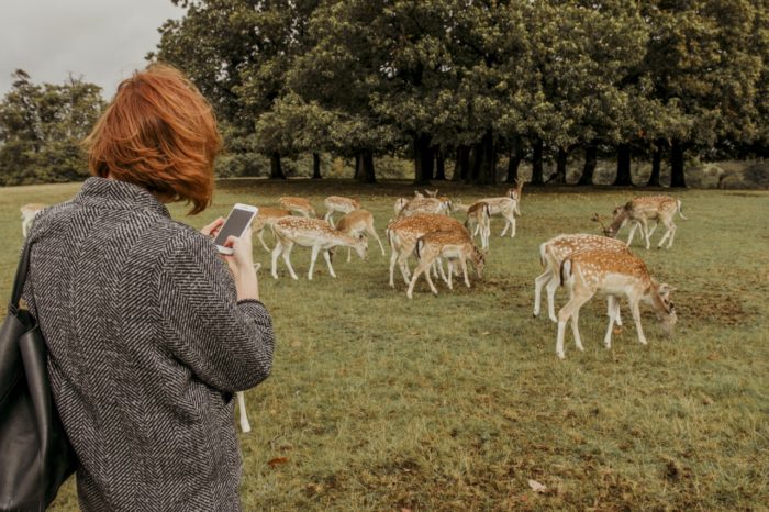 Instagram kłamie. I co z tego?