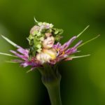 Sceny z życia z bobaskiem